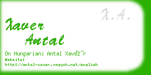 xaver antal business card